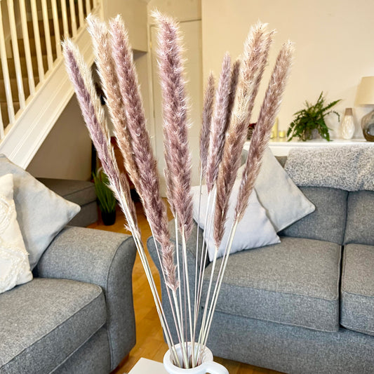 15pcs Natural Tall & Fluffy Pampas Grass Stems 75cm