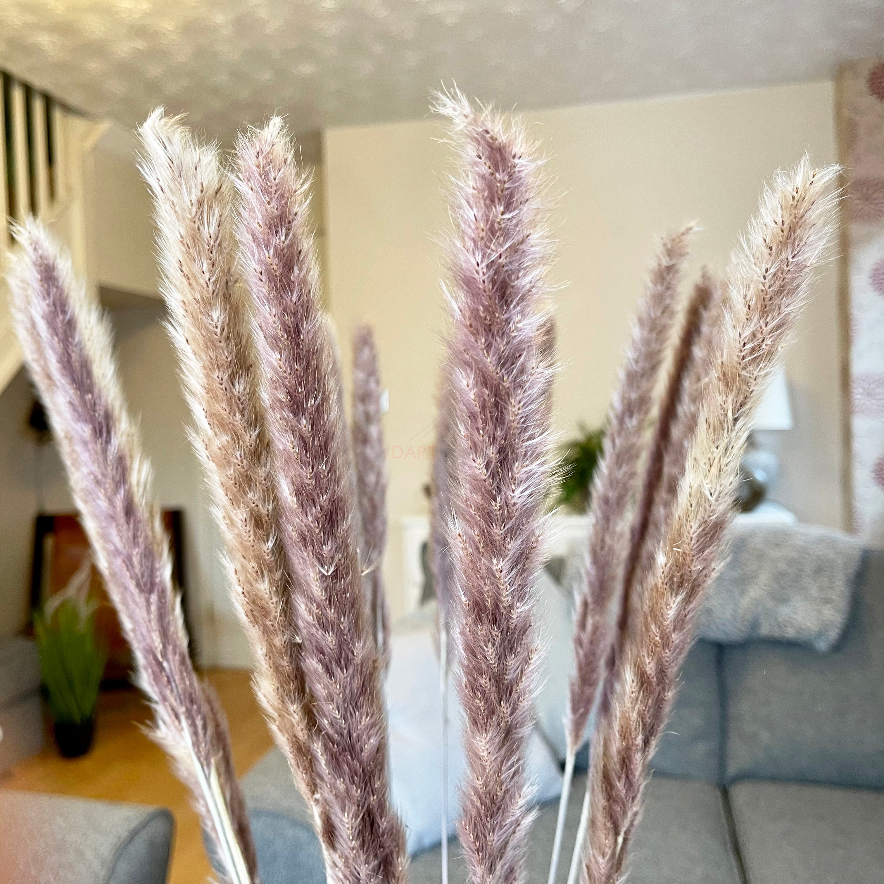 15pcs Natural Tall & Fluffy Pampas Grass Stems 75cm