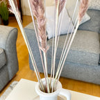 15pcs Natural Tall & Fluffy Pampas Grass Stems 75cm