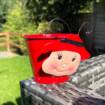 Red Wobble Head Ladybird Plant Pots