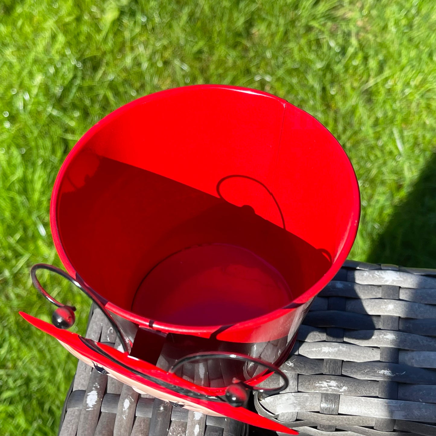 Red Wobble Head Ladybird Plant Pots