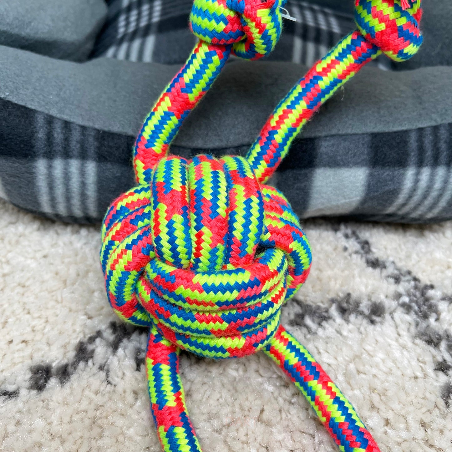 Farbiges Quad-Seil-Knotenball-Kauspielzeug für Hunde