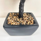 Artificial Bonsai Tree Plant