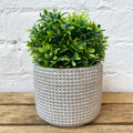 Cement Embossed Square Pot