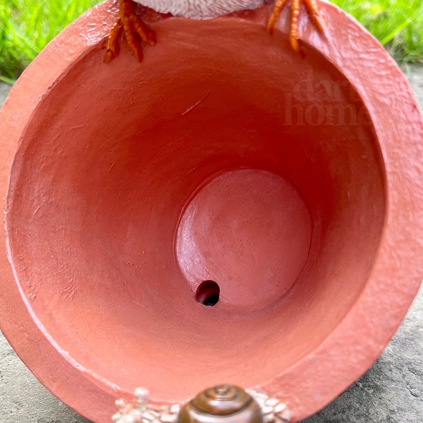 Robin On Plant Pot Bird Feeder