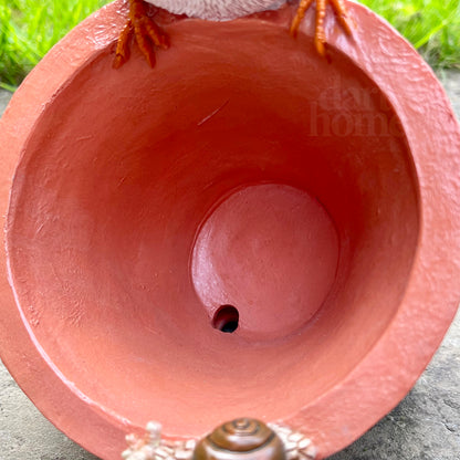 Robin On Plant Pot Bird Feeder