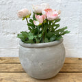 Antique Cement Home & Garden Flower Pot 16cm