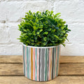Ceramic Coloured Modern Stripe Indoor Display Plant Pots