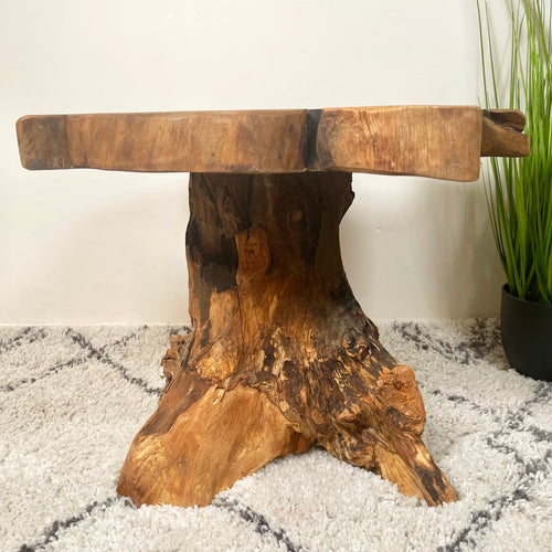 Pilz-Beistelltisch aus Teakwurzelholz