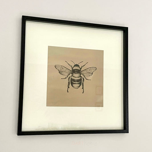 Gold & Black Queen Bee Square Framed Print