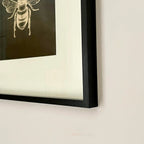 Black & Gold Queen Bee Square Framed Print