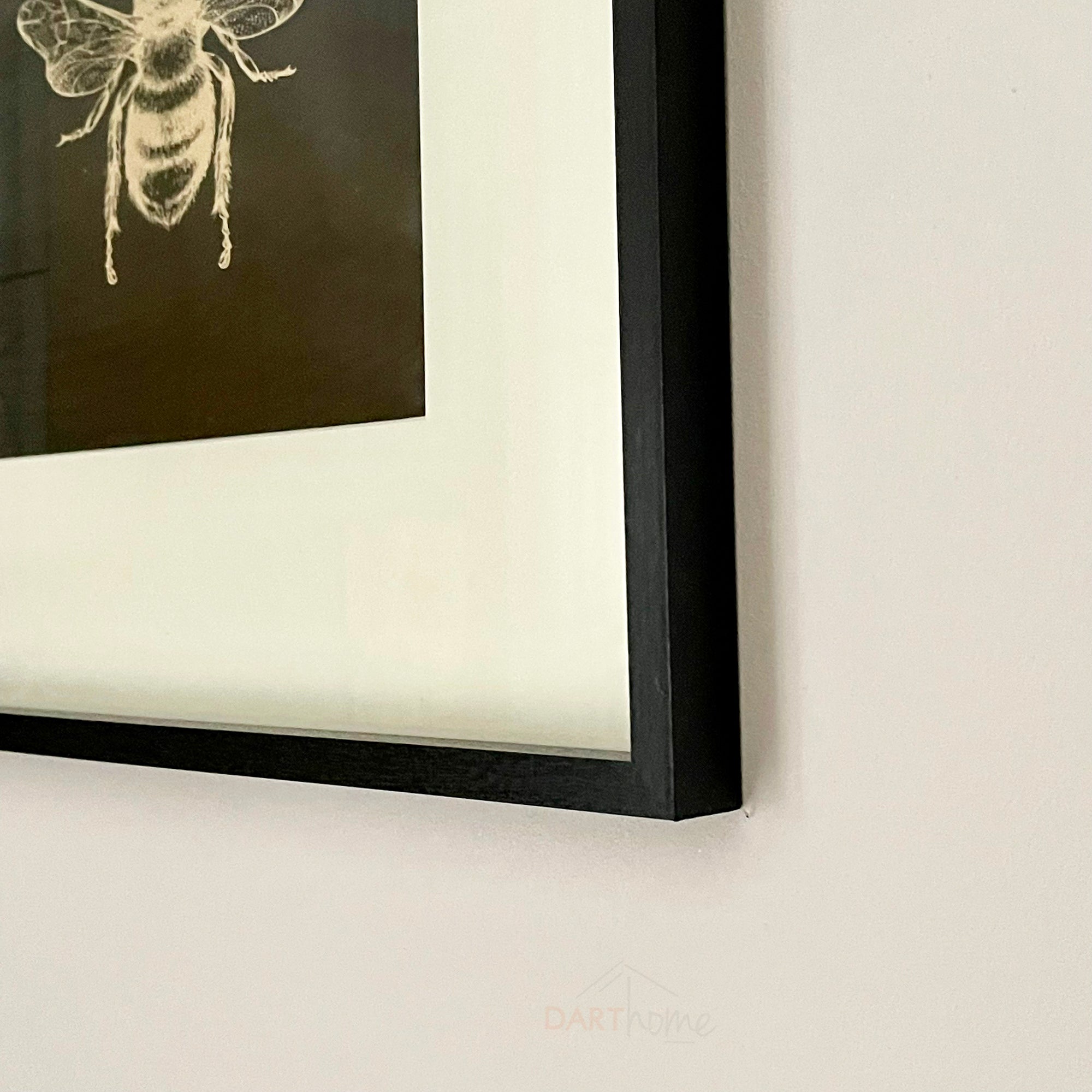 Black & Gold Queen Bee Square Framed Print