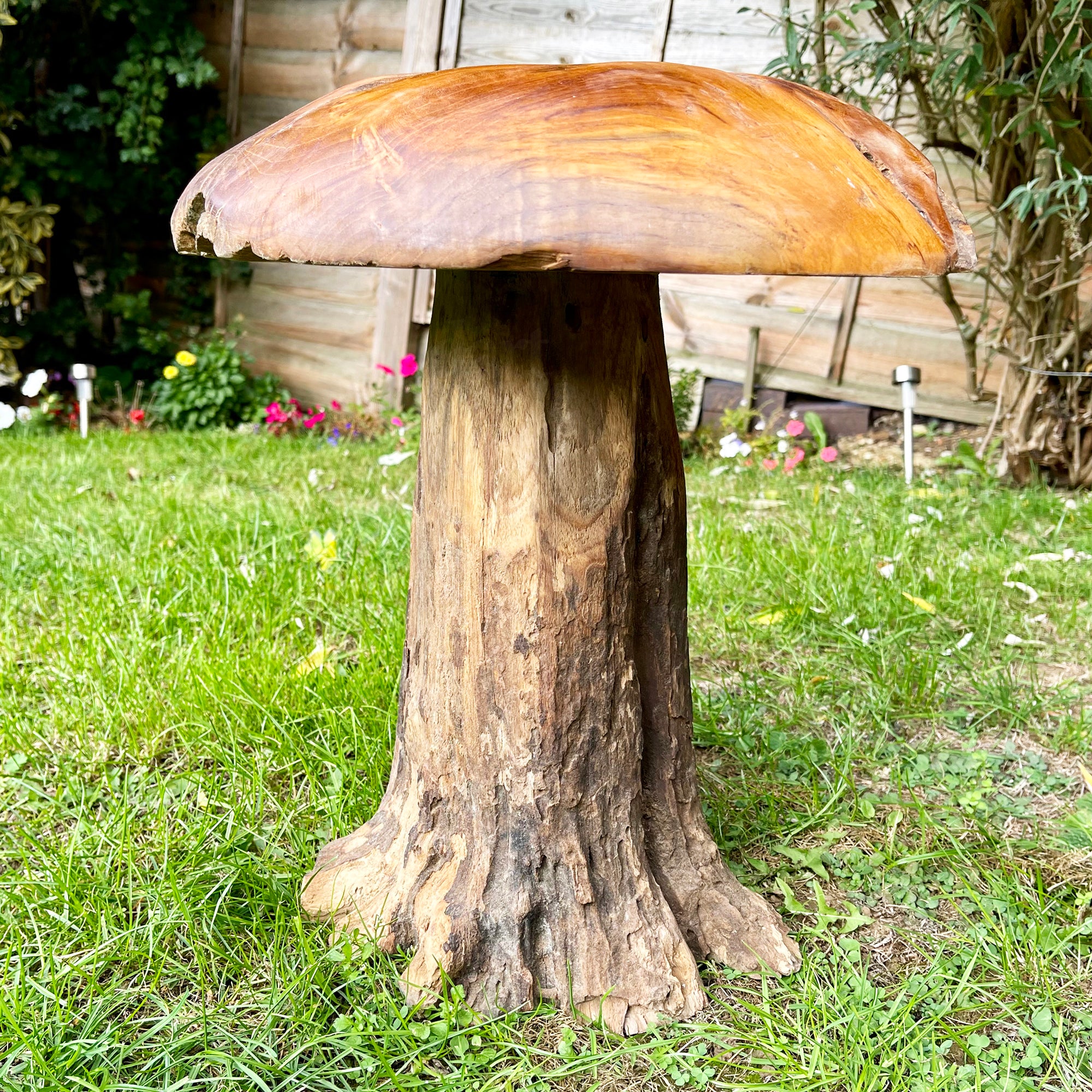 Tall Teak Root Mushroom Sculpture 42cm