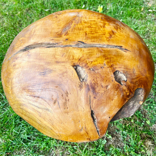 Hohe Teakholz-Wurzelpilz-Skulptur, 42 cm