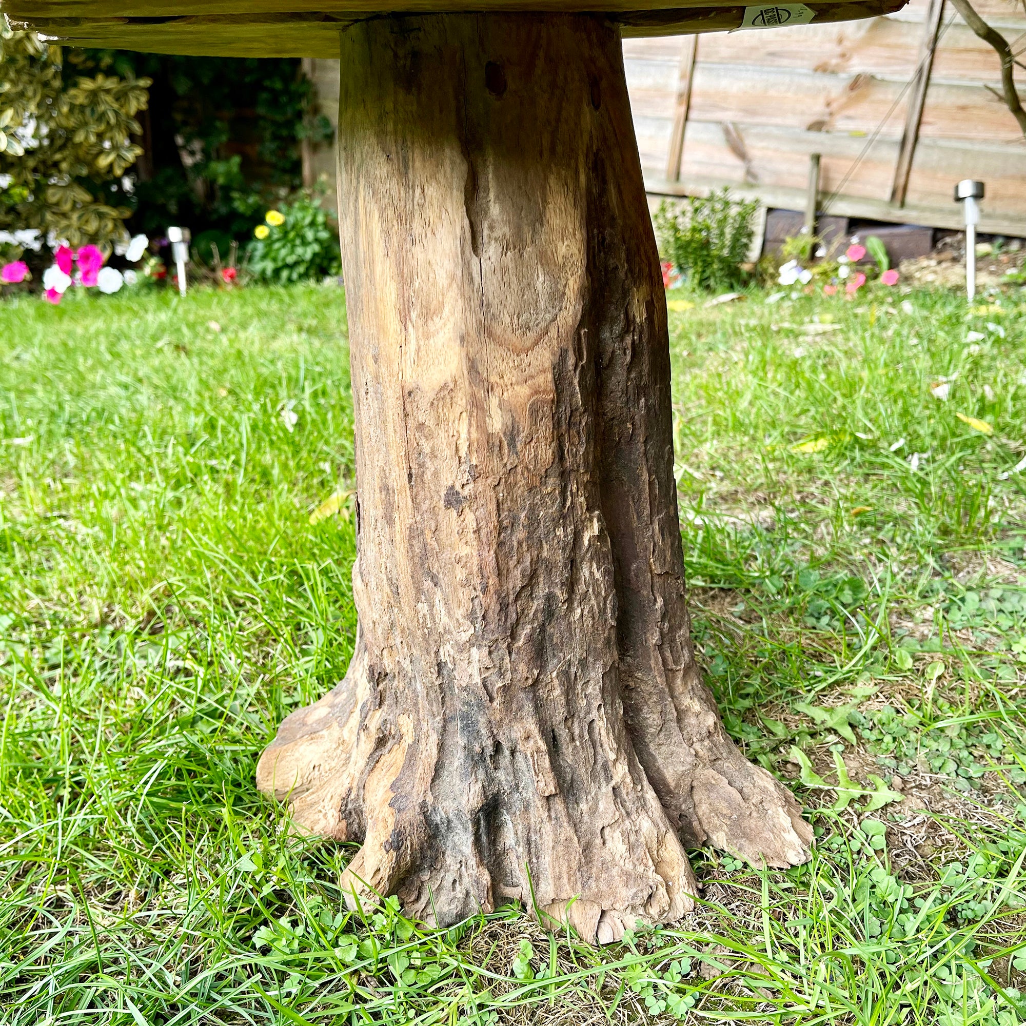 Tall Teak Root Mushroom Sculpture 42cm