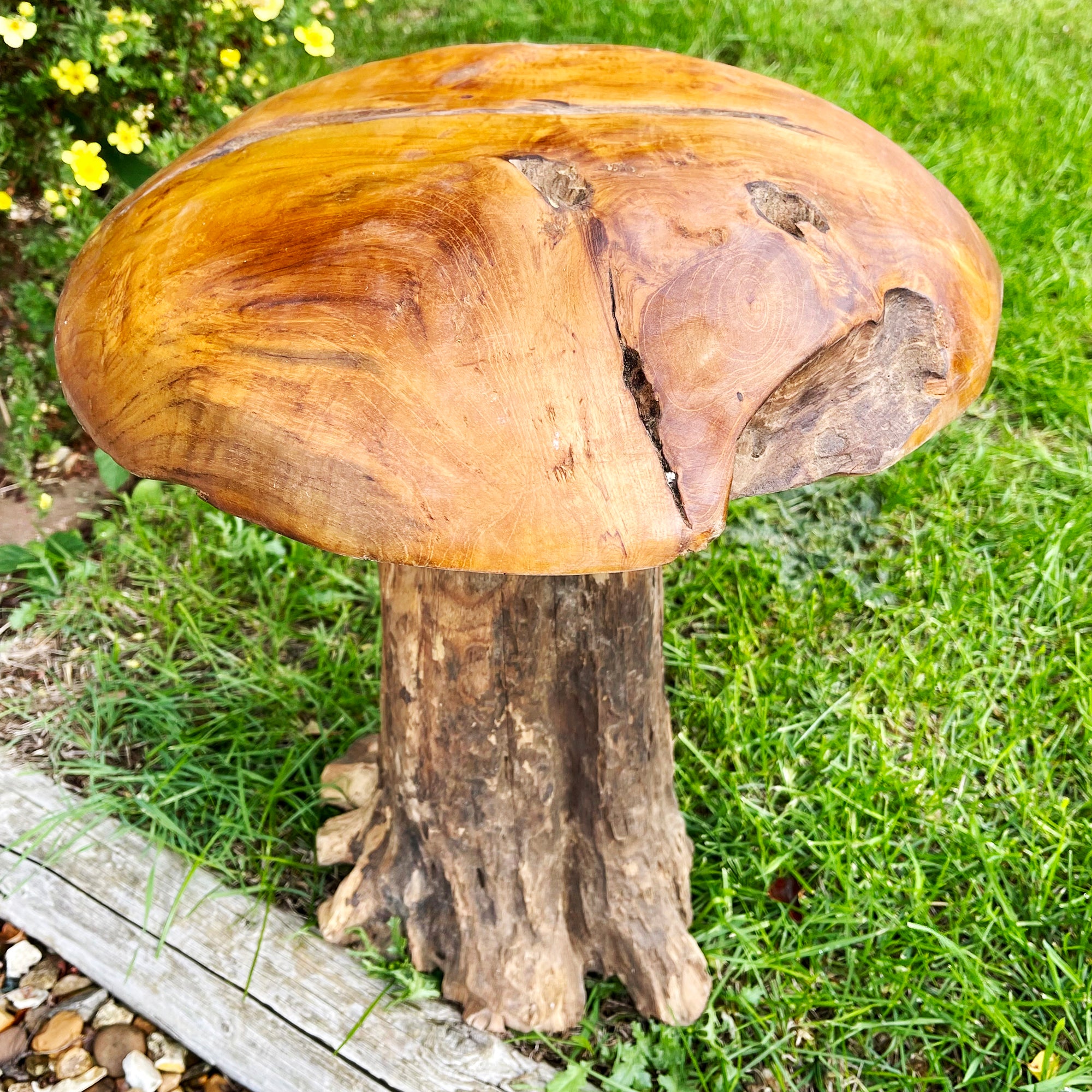 Tall Teak Root Mushroom Sculpture 42cm