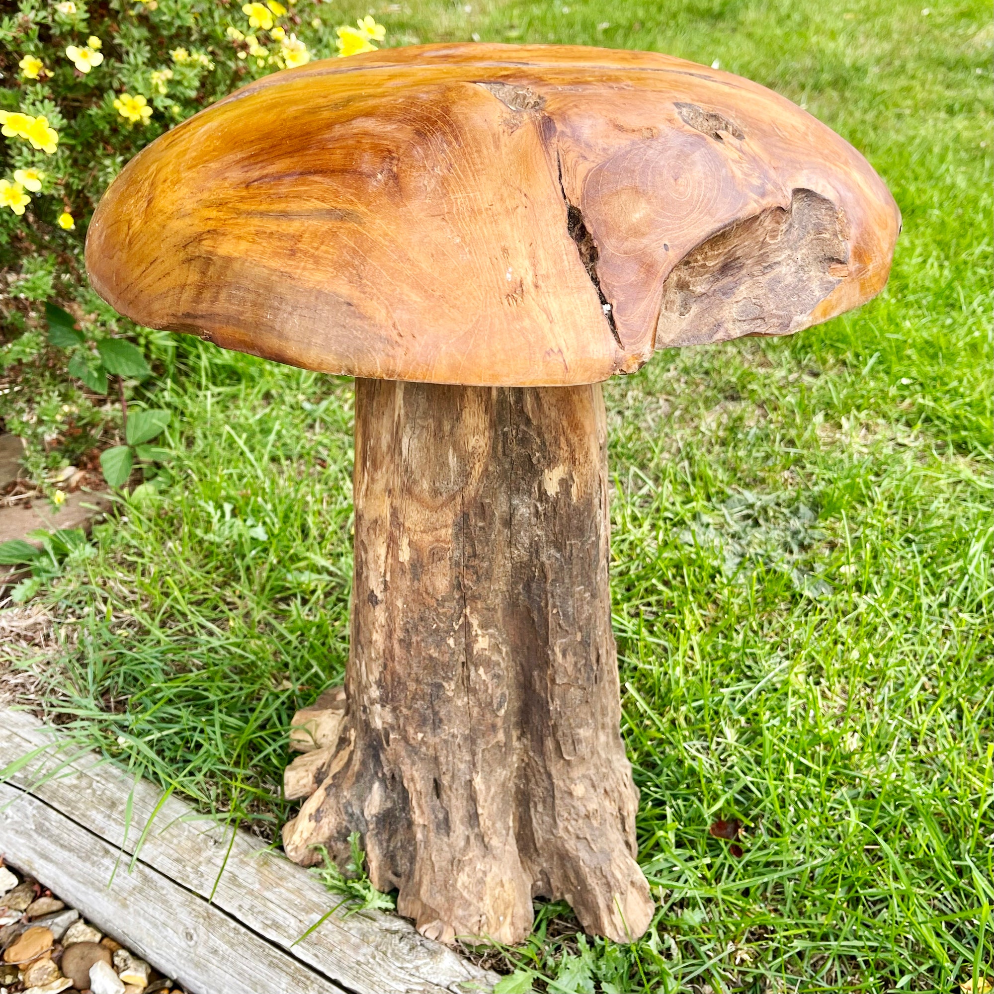 Tall Teak Root Mushroom Sculpture 42cm