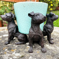 Set Of 3 Black Dog Plant Pot Feet