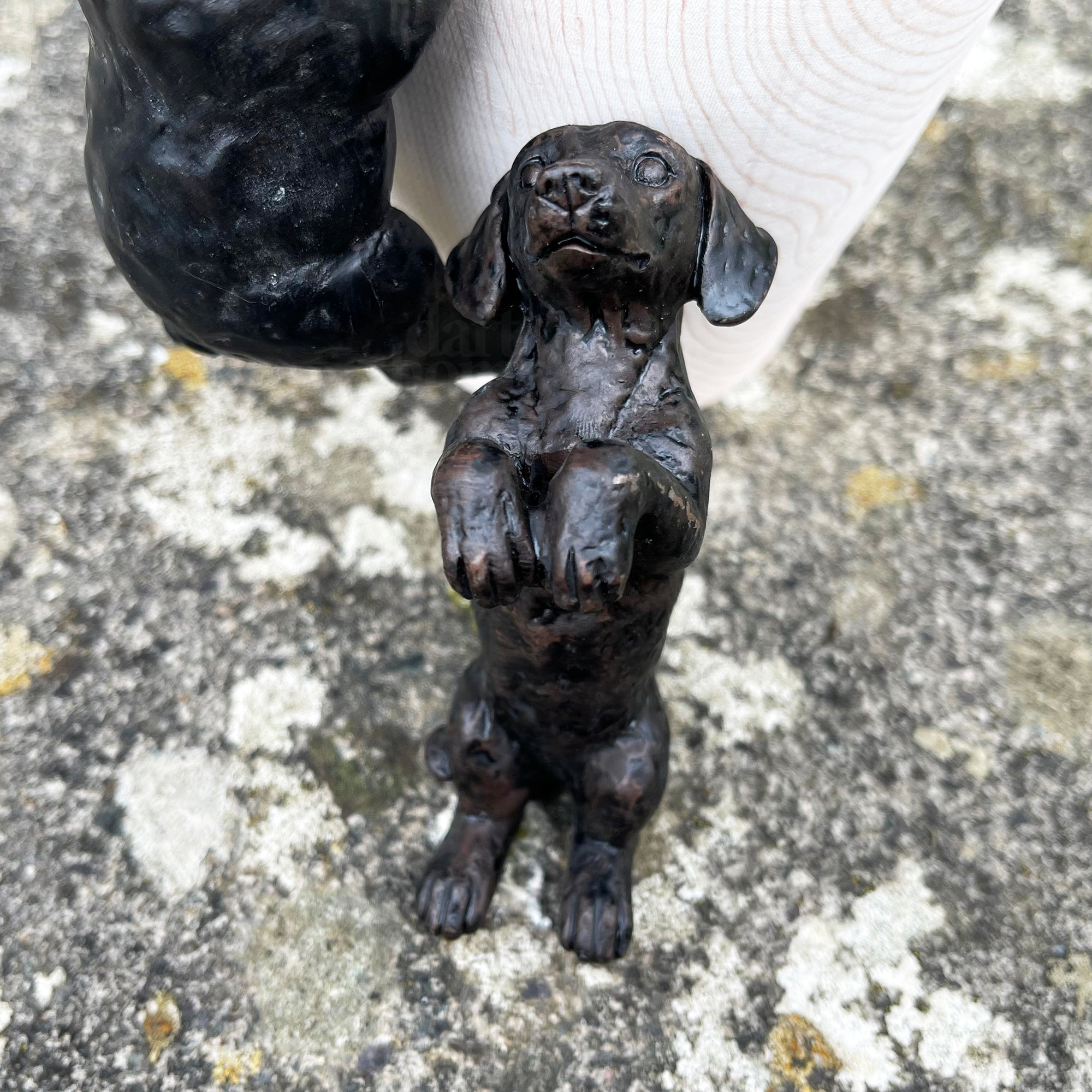 Set mit 2 schwarzen Topfaufhängern für Hunde