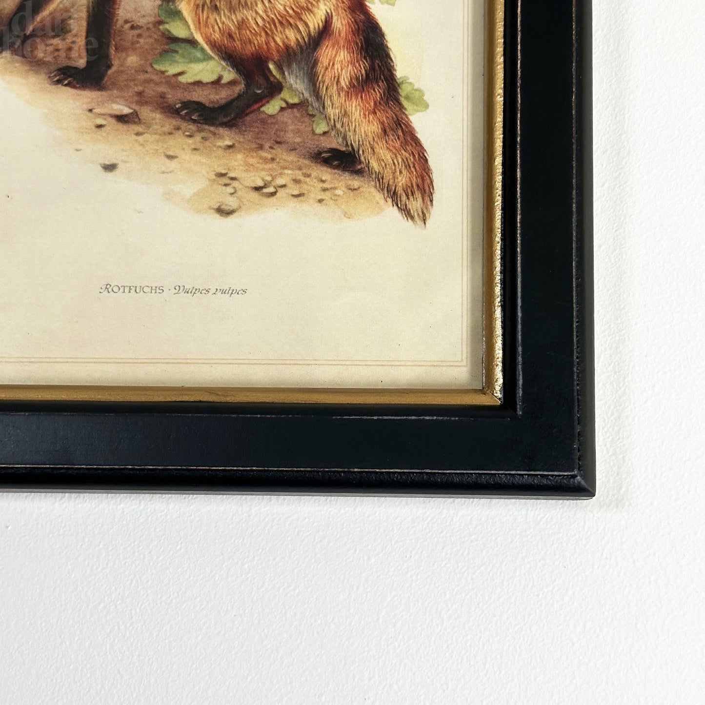 Forest Fox Toile Framed Print