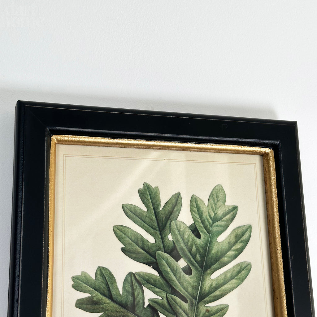 Waldweißer Eichen-Eicheln-Toile-Gerahmter Druck