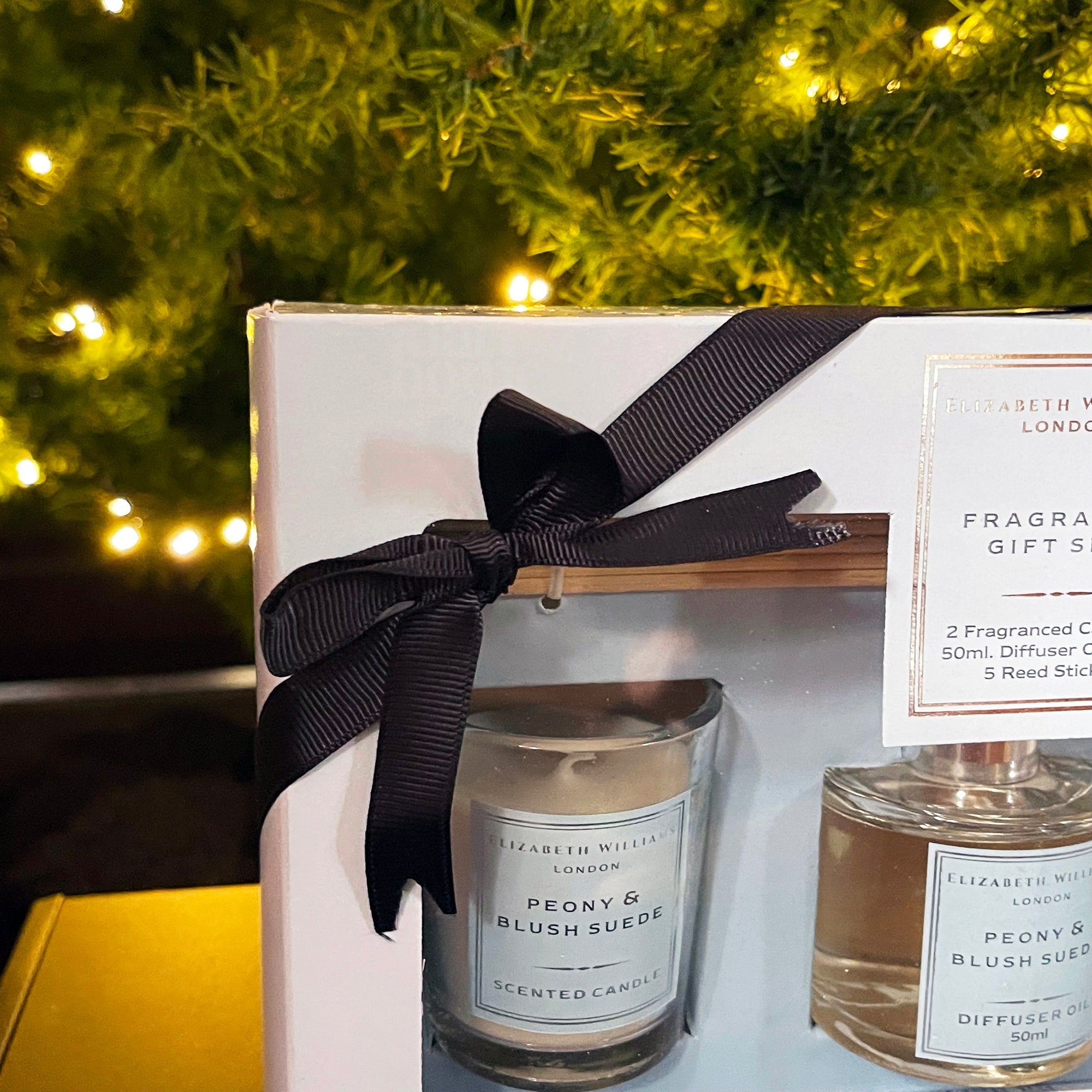 Peony & Blush Suede Home Fragrance Gift Set