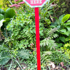 Schild „Stop Here“ mit Weihnachtsmann, 15 x 68 cm