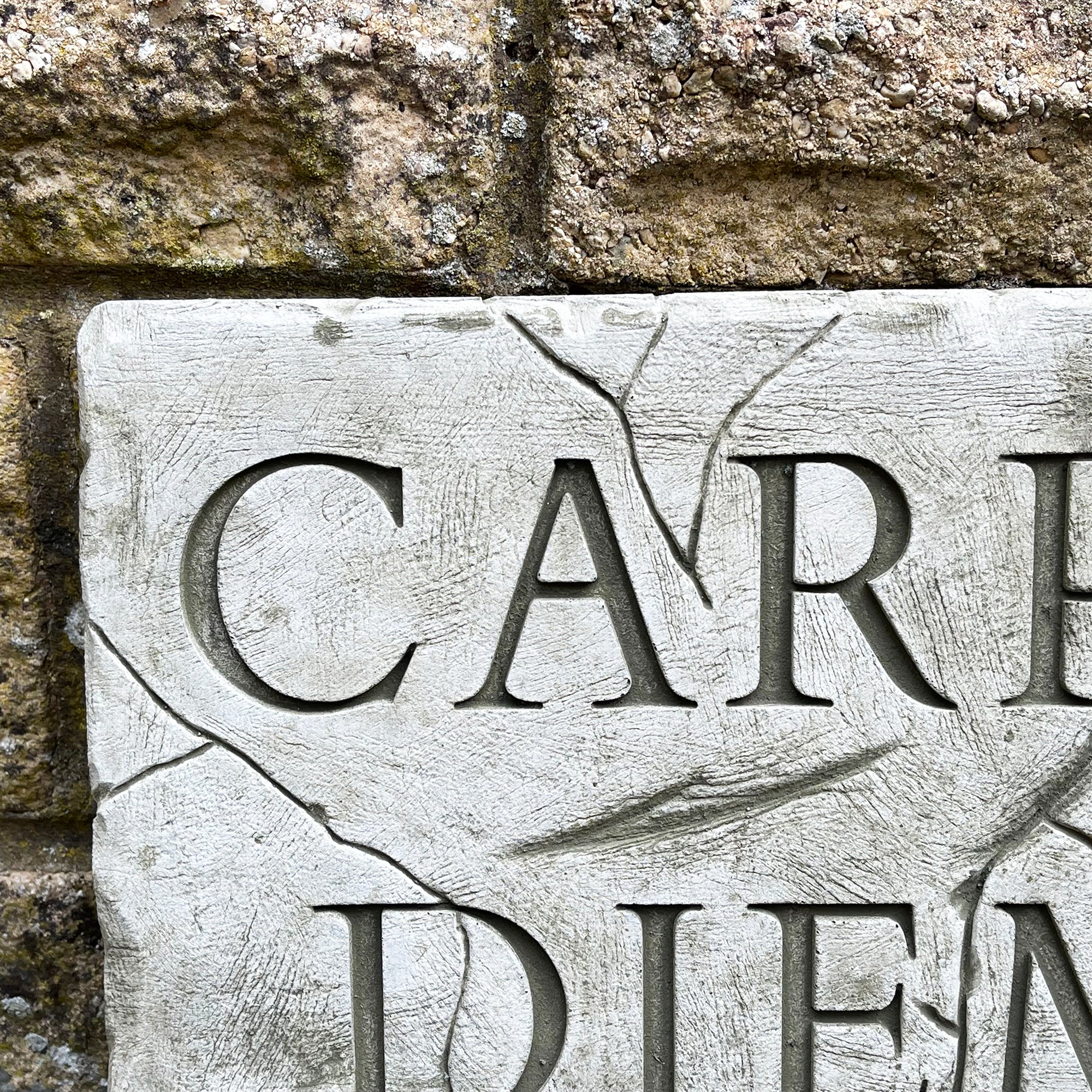 Stone Carpe Diem Wall Plaque