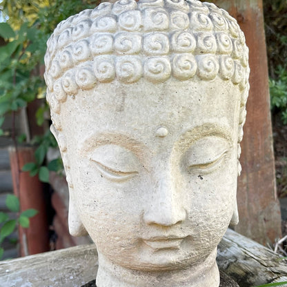 Stone Buddha Head Planter 13x23cm