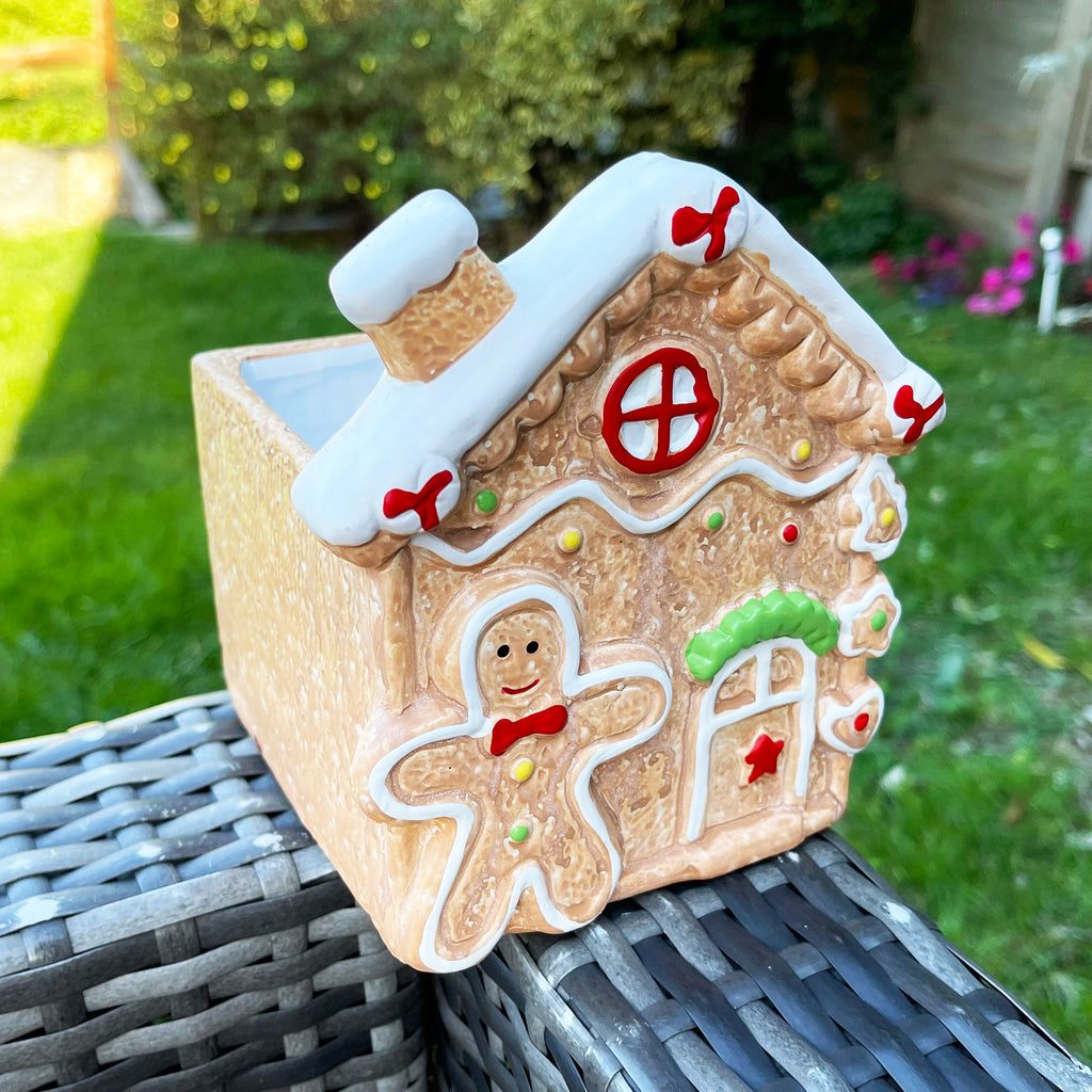 gingerbread house plants Christmas Gingerbread House Plant Pot 12x14cm – Darthome