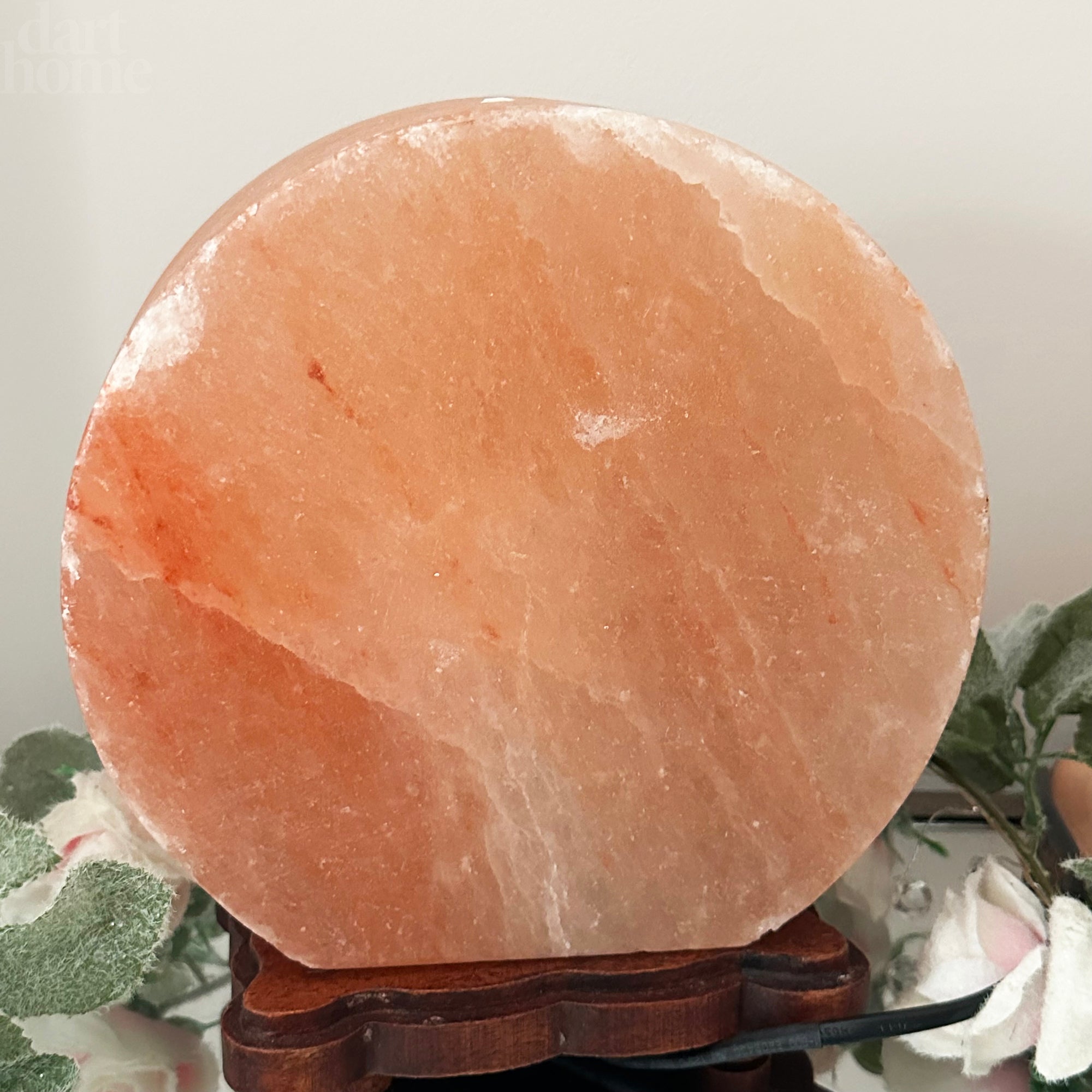 Elephant Sunset Salt Lamp