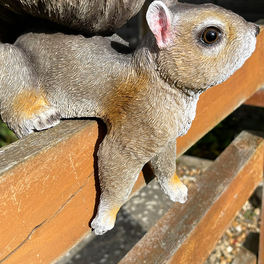 Eichhörnchen-Vogelfutterstation aus Kunstharz, am Zaun montiert