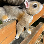 Resin Fence Mounted Squirrel Bird Feeder