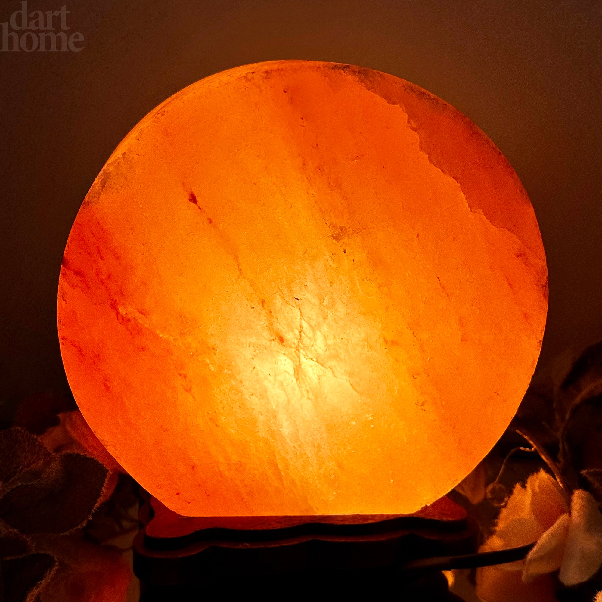 Elephant Sunset Salt Lamp