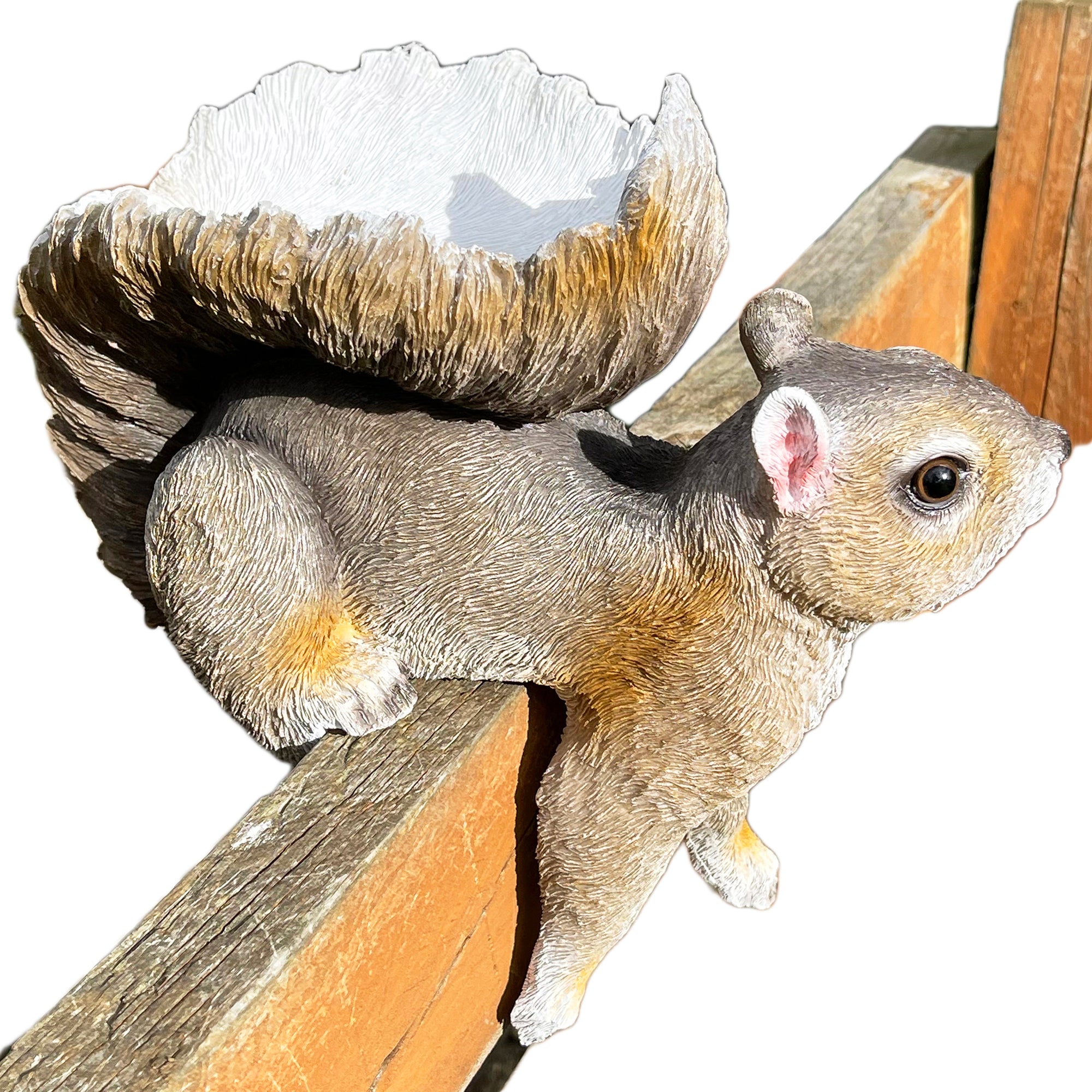 Resin Fence Mounted Squirrel Bird Feeder
