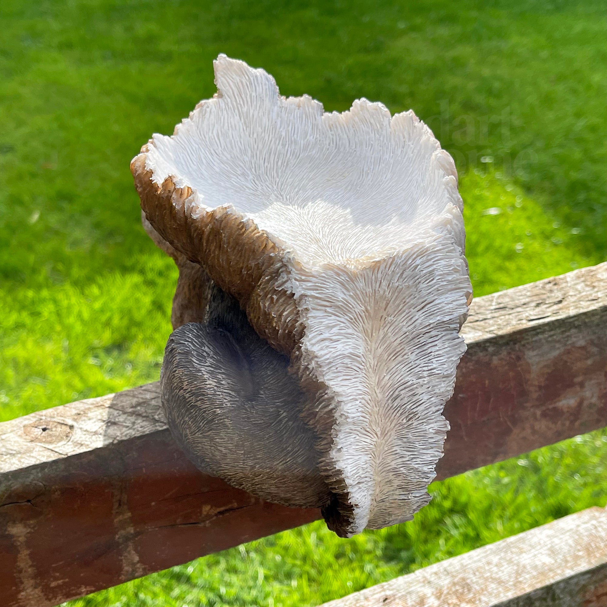 Resin Fence Mounted Squirrel Bird Feeder
