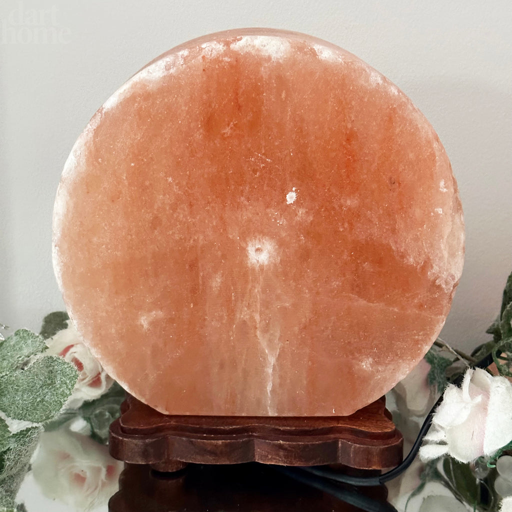 Winter Stag Salt Lamp