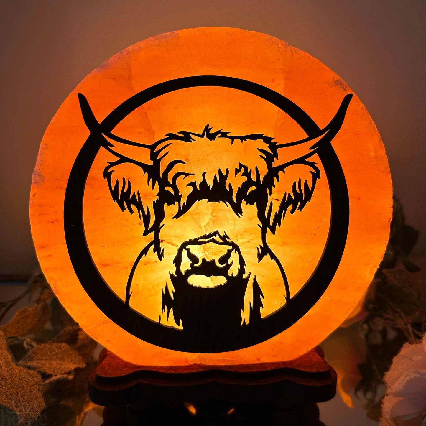 Highland Cow Salt Lamp