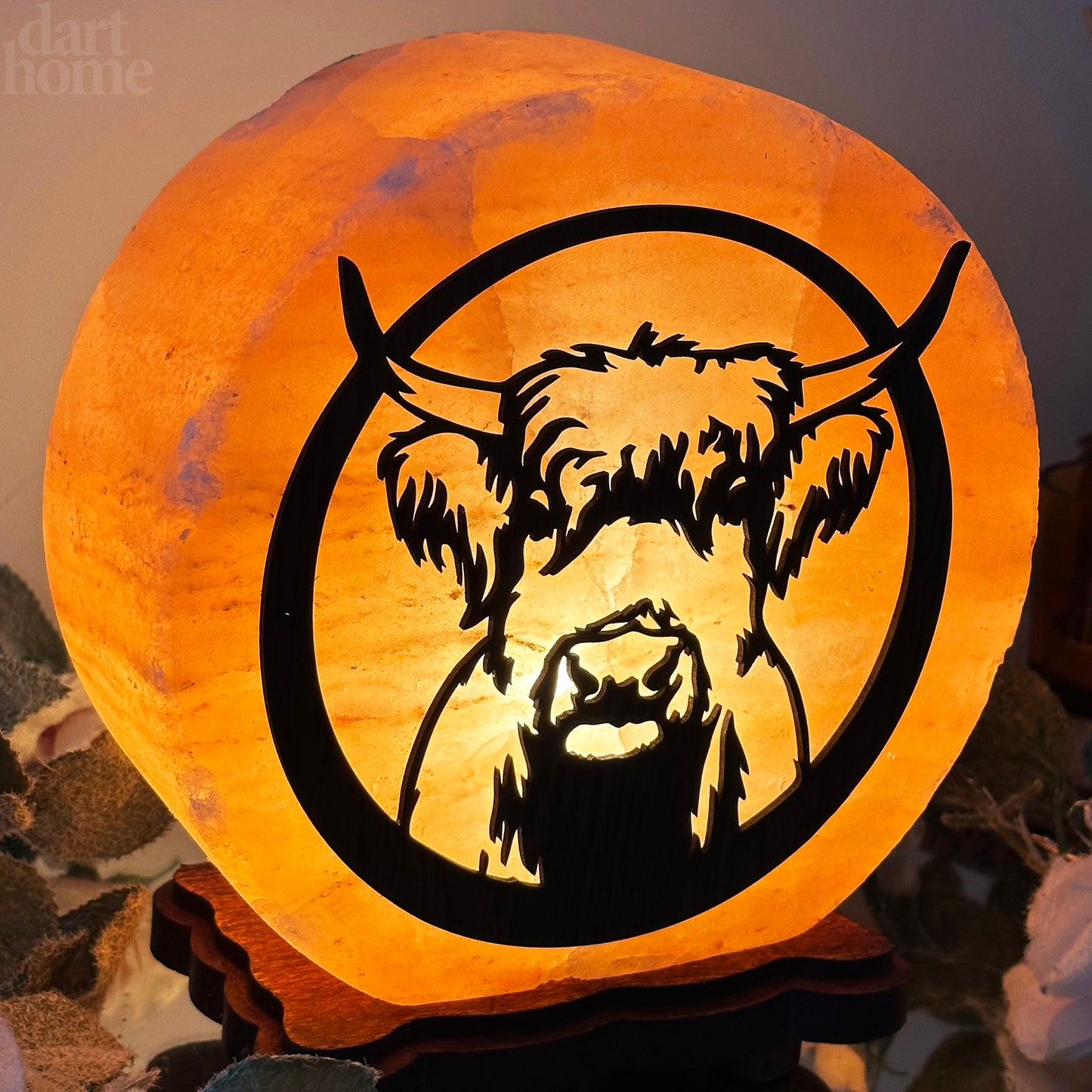 Highland Cow Salt Lamp