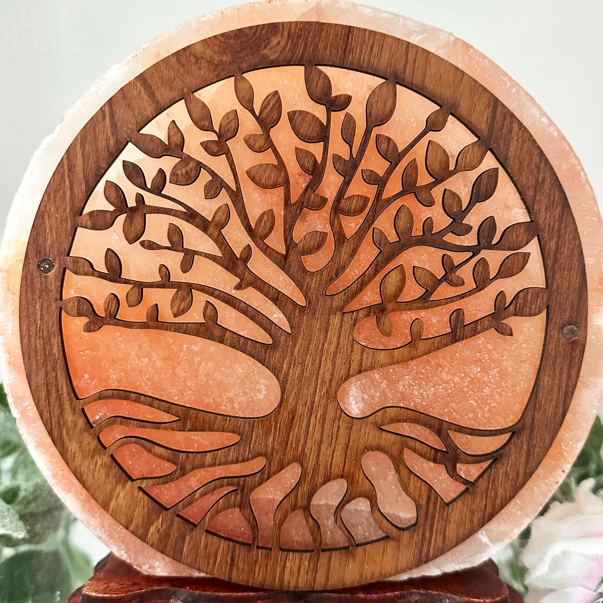 Tree Of Life Salt Lamp