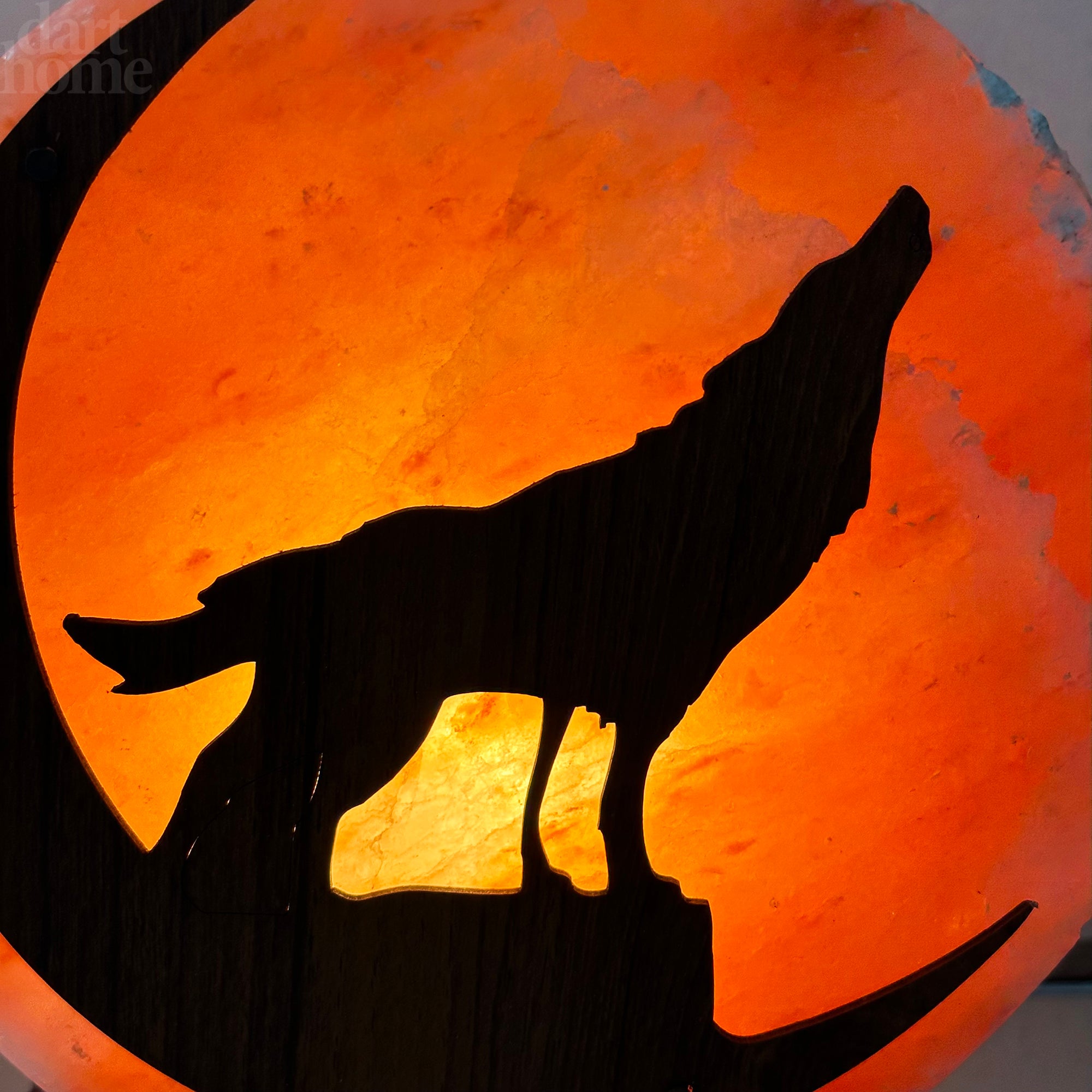 Howling Wolf Himalayan Salt Lamp