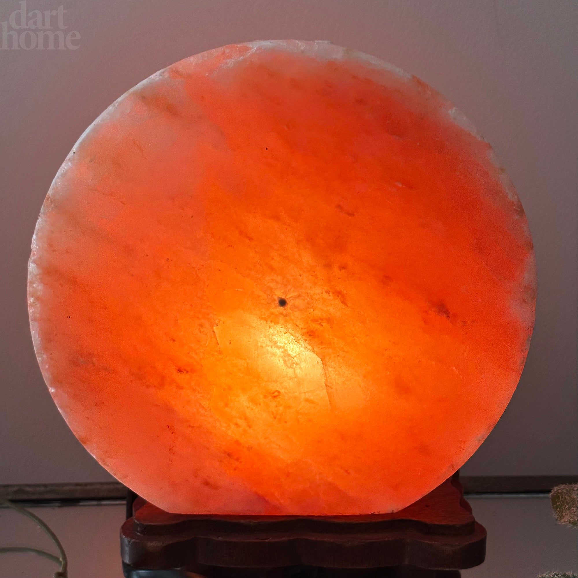 Howling Wolf Himalayan Salt Lamp