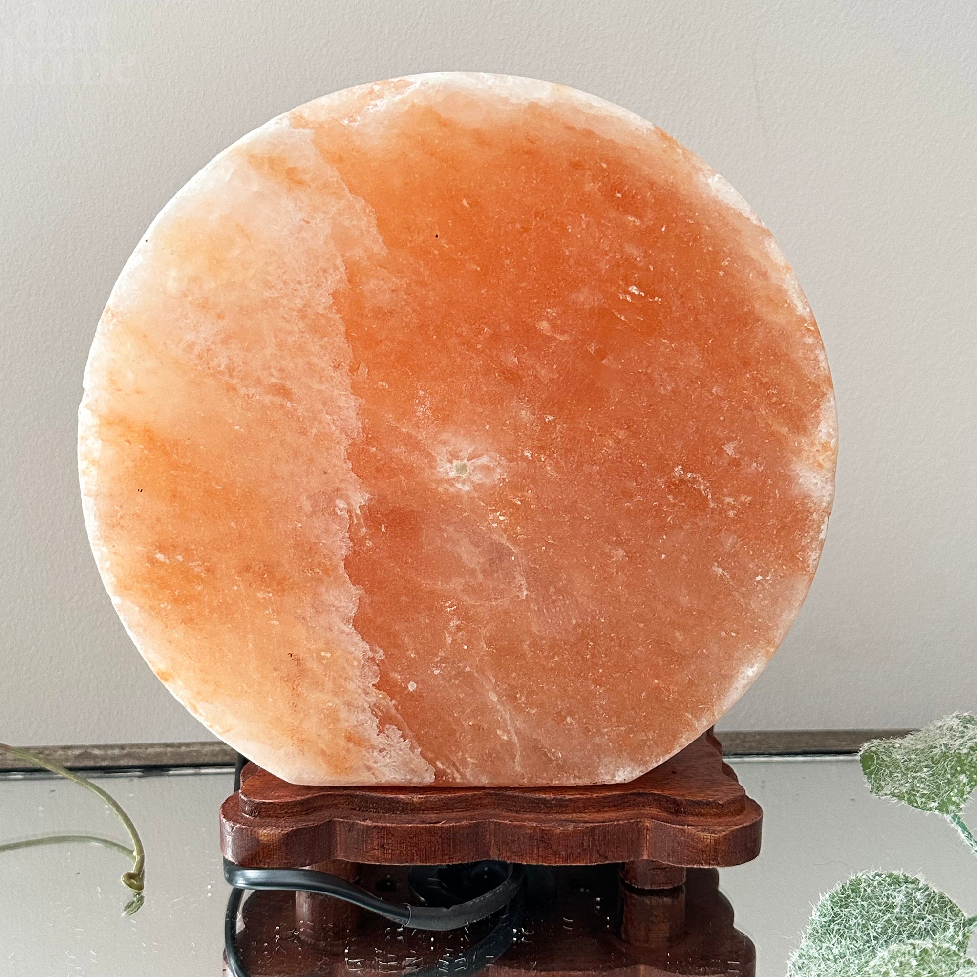 Howling Wolf Himalayan Salt Lamp