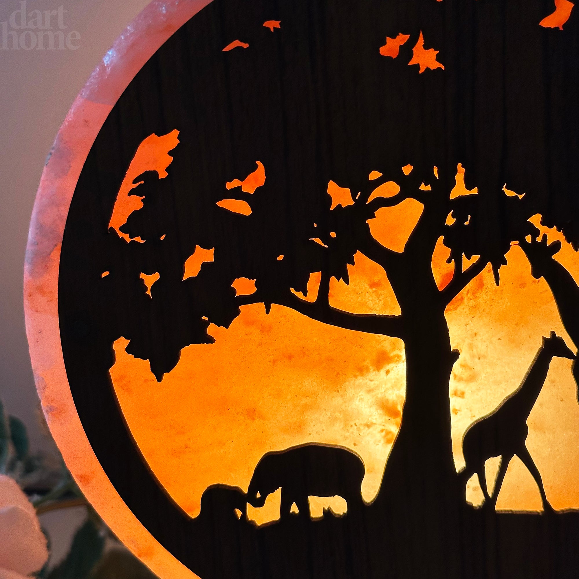Safari Animal Himalayan Salt Lamp