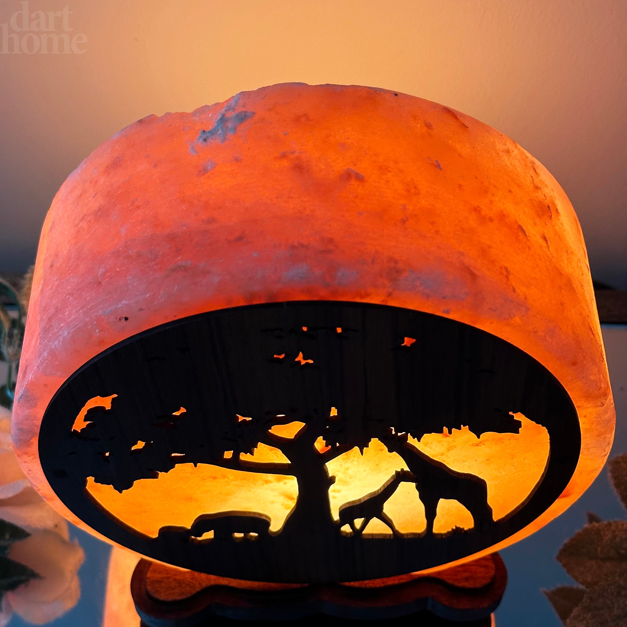 Safari Animal Himalayan Salt Lamp