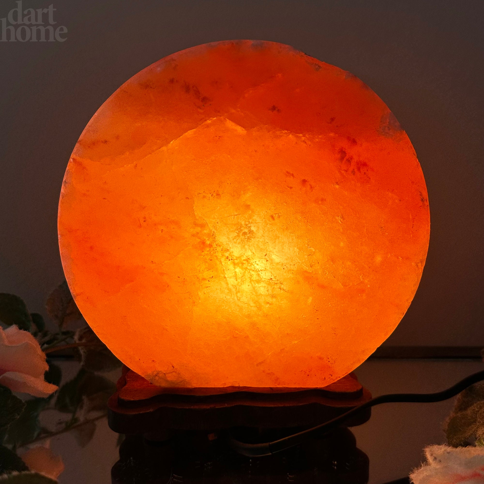 Safari sunset deals led globe lamp