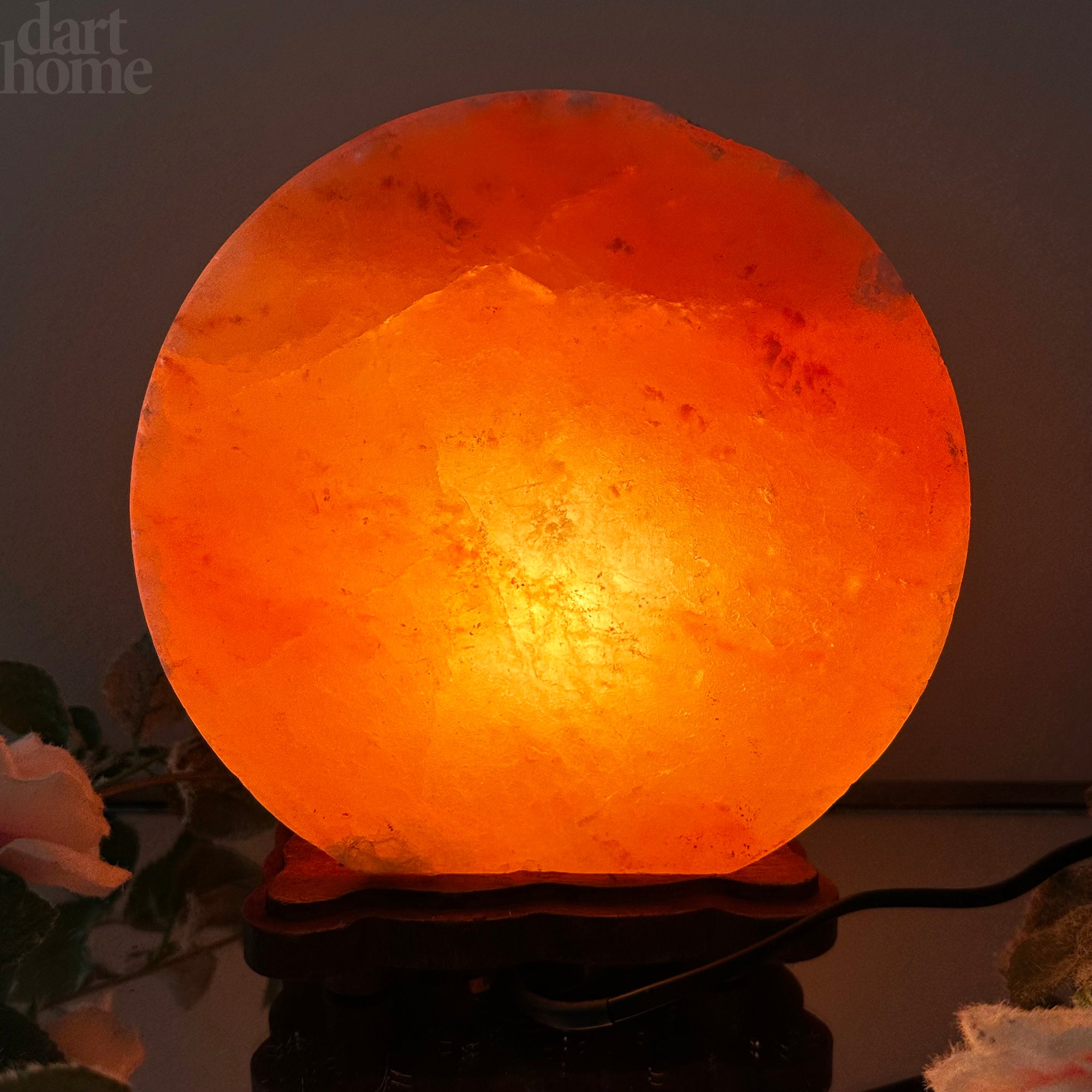 Safari Animal Himalayan Salt Lamp