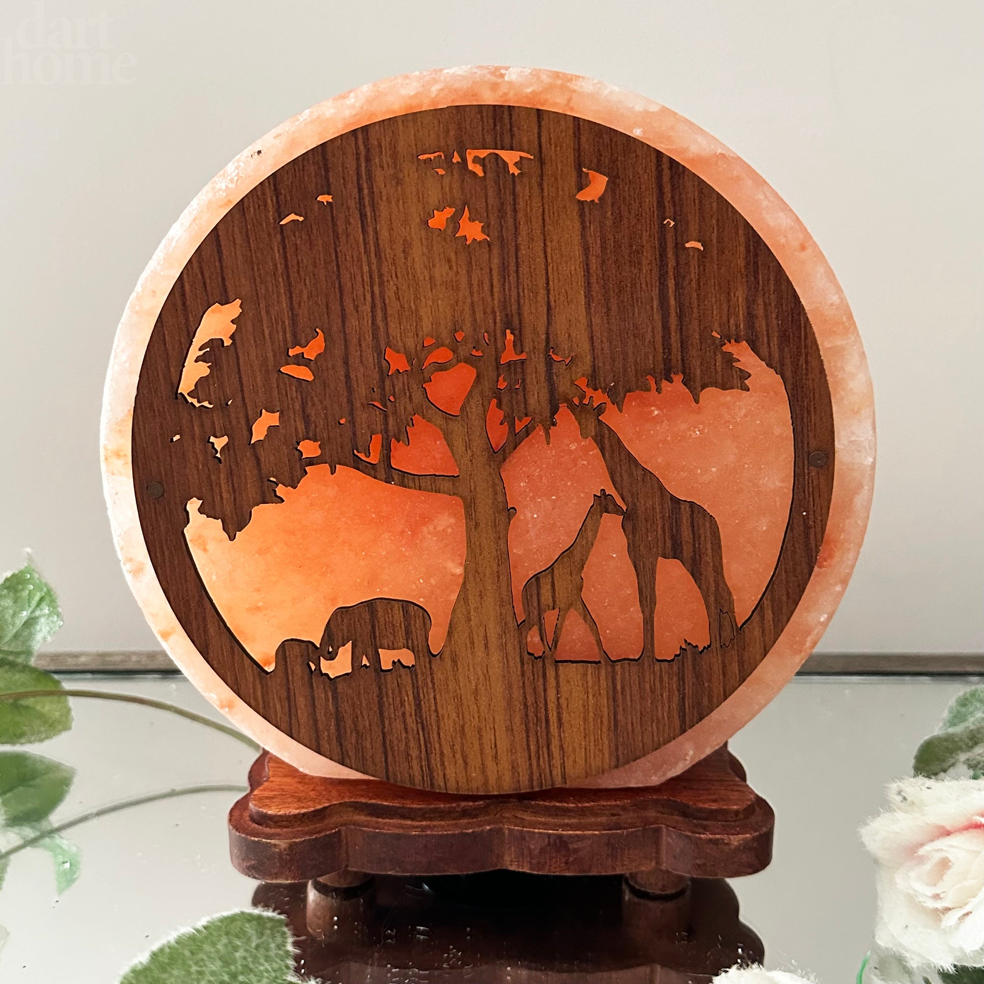 Safari Animal Himalayan Salt Lamp