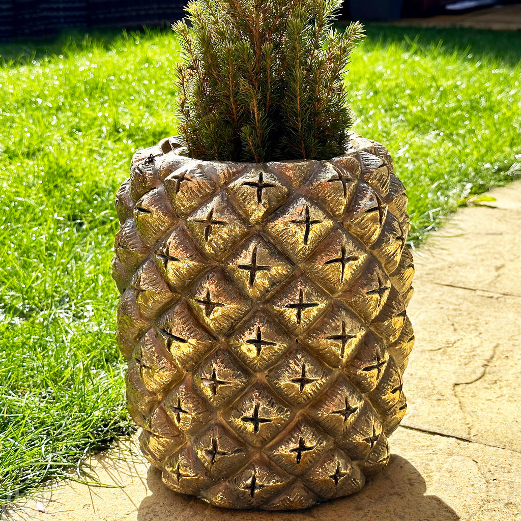 pineapple planter gold Darthome Gold Pineapple Garden Planter 26x29x26cm