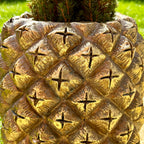 Goldener Ananas-Gartenpflanzer